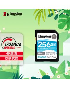 Kingston 256GB SD Memory Card U3 V30 Camera SD Card High-Speed SD Card for 4K Ultra HD Recording with 170MB/s Read and 90MB/s Write Speeds