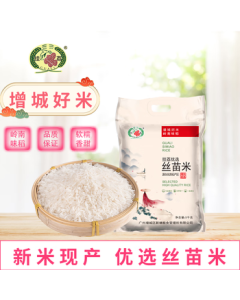 Guali Premium Silky Rice 10lb Long Grain Fragrant Rice Southern Rice Vacuum Packed