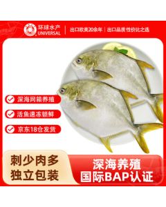 Global Seafood South China Sea Golden Pomfret Net Weight 2.2 lbs/2 Pieces Fresh Fish Deep-Sea Fish Seafood Mid-Autumn Family Feast