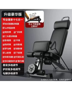 Yan Ziran Adjustable Dumbbell Bench Multi-Function Home Workout Fitness Chair Foldable Flat Bench Press Fly Bench