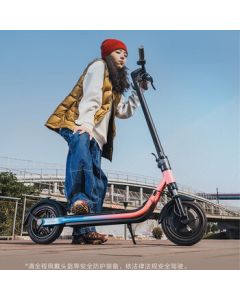 Ninebot Electric Scooter F30 Plus - Universal Portable Foldable Electric Self-Balancing Scooter for Adults & Students (Gradient Blue Pink) YS