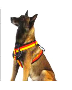 Xundi Anti-Bite Nylon Webbing Harness for Dog Training - Medium Dogs