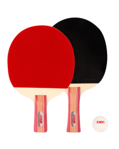 DHS Horizontal & Vertical Dual-Pack Table Tennis Racket Set with 2 Rackets & 1 Ball (Type II)