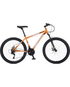 Phoenix Mountain Bike for Adults and Students, Disc Brake Off-Road Bicycle ZB888, 26-inch 24-Speed Gray