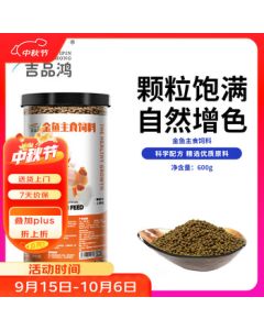 Xiaomi Outdoor Camera CW500 Dual-Band Wi-Fi6 Ultra HD Full-Color Night Vision AI Human/Vehicle Detection IP66 Dustproof and Waterproof