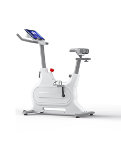 Yingerjian Exercise Bike Indoor Fitness Equipment Stationary Bike QM-69ZF