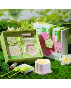 Aromatherapy planting gift box aromatherapy + planting