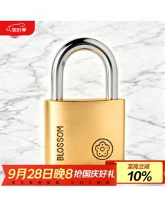Plum Blossom (BLOSSOM) Copper Padlock for Office, Dormitory, Warehouse, Iron Gate, Cabinet Door - Waterproof and Rustproof Lock BC9040